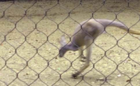 ��������600��10ƪ