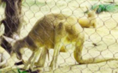 �ҳɞ��˴�������