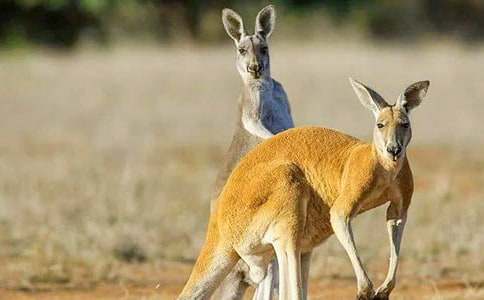 ����ı��M(j��n)��ͯԒ����