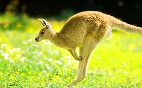 С���þ�С����С�W(xu��)����