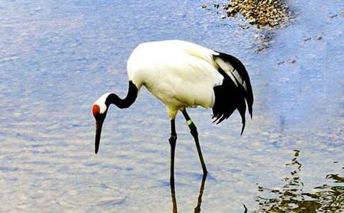 ����Q����700��