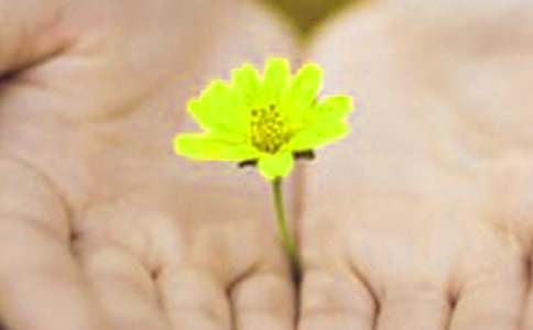 �ְֵ�Ǹ�˔�������