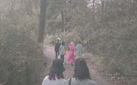 �����ɽ����ͨ��