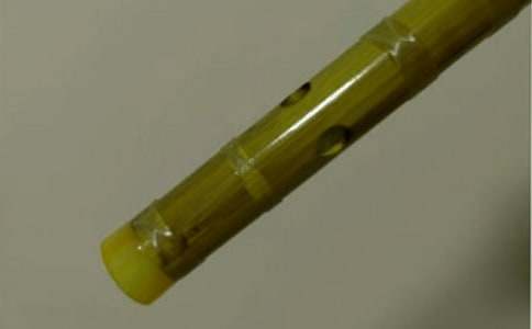 ����?sh��)ĵ������?/></p><h2>��������?sh��)ĵ������?1</h2><p>����ÿ���糿�����S����ɫ��ꖹ⣬���� ���L�ѵ�����ÿ��(d��ng)�˕r���ҿ��������R���������ǵ�������ҵ����M(j��n)���������������ҵĠ����������ǂ��ό��ķN��������ƽƽ������̤̤���������^�˴������</p><p>������ʮ���������ʼ�K������һ����ؐ���Ǿ��������L������������҂�һ�Ӑ�������ÿ����æ�r��(ji��)������?sh��)�����ɻ���߀������������.�L�ѣ��������������﹡����Ϣ�������L�ѣ����ƓP��ʹ��ȫ���õ�������ƣ���D�r��ʧ�ßoӰ�oۙ�������˶�ϲ�g�͠���һ��ɻ��ľ����ڄڄ�֮����  ����?sh��)ĵ����������ڄӵĘ�Ȥ��ԭ���������(sh��)ĵ���߀�������ڄӵľ�����`����</p><p>����һ�����L(f��ng)����������������ڴ���ݚ�D(zhu��n)�y�����L(f��ng)������֦���ڴ��τ��^���l(f��)���̶��������@������ë���Ȼ���Ҷ��ڱ��C���������f����ס�r�r�u���Ŀָ֑���ͻȻ���� ���ˠ���?sh��)ĵ����?n��i)�ĵĿָ֑о�?ji��)u�u�p�������þ��M(j��n)���ˉ��l(xi��ng)��ԭ��������?sh��)ĵ��У�߀�N����ʹ�ˈԏ�(qi��ng)������������һ��ҹ���������_ʼ���磬���ݚ���һҹ�Ę��С��������ֱ�������������������Tǰ���������L�������澏���ƓP���ƺ�������������ٻ�ζ�L(f��ng)�����ַ·��ǚq�¶��^�����پ׽����գ�ԭ��������?sh��)ĵ��У�߀�����ؑ�����ϧ��</p><p>��������?sh��)ĵ��̕����w�ڄӵĘ�Ȥ���̕��҈ԏ�(qi��ng)���̕�����ϧ��ǰ�ĕr�⣬�����D(zhu��n)���ƓP�ĵ�����Խ�r�g�Ϳ��g�����������S�ҵ�һ����</p><h2>��������?sh��)ĵ������?2</h2><p>����ӛ�����ǃ���ǰ�ĕr������ĩ��ԇ�������R���Ҿo���؏�(f��)��(x��)�����n��</p><p>������(d��ng)�r����������ס��һ���������ˣ�ע�����ª�����į����������Ҳ�򲡶�ȥ����� �������һ�����Ĵ���������(j��ng)�����ڴ�ǰ�ēu�������۾������h(yu��n)�����տյ����e���ĕr����ҲҲ���ó�����ֻ��f�ĵ��Ӵ��������ӣ��ǵ�Ҳ�������p�۾����տյ���</p><p>����һ�����������һ����(sh��)�W(xu��)�}�����ρ�������˼�����ǿտյĵ����ڶ�߅�������һȺΛρ���M�ҵ�����ʹ�Ҹ����ğ����ʹ�һ�������������o�����ò��������ǿտյĵ��Ȼ��ֹ�������룺߀�Ў������ĩ��ԇ�����������ȿ���ԇ��һ��׌������������Ҳ���ڸ�ǰ ����������</p><p>����֮��Ď��죬�ҵĶ�߅��Ҳ�]������ǿտյĵ��������͵͵�ذѠ���?sh��)ĵ��Ӳ����˹����������ô��Ҳ�Ҳ�����ż�������톖�ҵ��ӵ�ȥ����ֻ�Ǽ��b�P(gu��n)�Ķ��u�u�^�f��֪�������@�ӳ��m(x��)��һ�Εr�g������]�����ǿտյĵ��������ﰵ�����d���������f�����h(yu��n)�����۾��տյġ�����ĩ��ԇ�������ְֽo�Ҵ���Ԓ�f�������K���l(f��)��������һ�������ˣ��ȵ����翼��ԇ���һ����Ҽ�æ�ܻؼң�������ֻ���Ҳ��˴�Ű낀���µĵ���ֱ���t(y��)Ժ����(d��ng)���s���t(y��)Ժ�r���ѽ�(j��ng)�������������K���l(f��)�������������������h(yu��n)�����ˡ����ְ������ҵļ���f�����������^ȥ�Ķ��^ȥ�ˣ���Ҳ�e̫�����������ҿ�Ҋ�ְֵ��۾��t�t�����۾��ﺬ�M�˜Iˮ���þÛ]��������</p><p>�����ص��ң���Ҳ׃�ú͠���һ���������ڴ�ǰ���Ǐ�����������ζ��.�u�Σ������h(yu��n)�����۾��տյģ��r���ó���ֻ�|�����ҵ����`�ĵ����������נ�����ǰ���^��������Ҳ�ǿտյ����ۜI����������������</p><p>�����ҹ��ڠ���?sh��)ĉ�ǰ��������֧��֧�������Iˮչʾ���ҵ��½��ܽ��ڸɿݵ������������M(j��n)����?sh��)��������������������M��Ĵ��ɣ�����ϲ�g���������ҕ��o�o����������ǰ ������������������ ��Ҋ����������</p><p>������ʼ�K�����������|�����ҵ����`�ĵ��������г�M�˃�(n��i)����</p><p>������?sh��)ĵ������ġ����P(gu��n)���£�</p><p><a target=