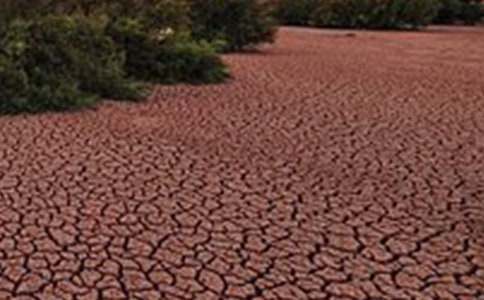 地球在呻吟作文800字(精選6篇)