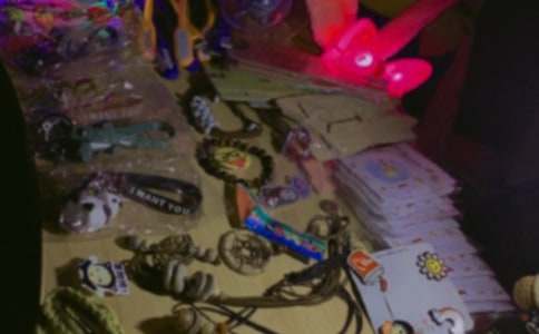 擺地?cái)偟氖斋@優(yōu)秀作文500字