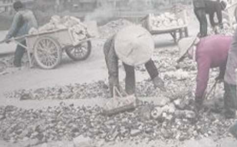 ���|(zh��)���a(ch��n)��(sh��)��(x��)��(b��o)��6ƪ