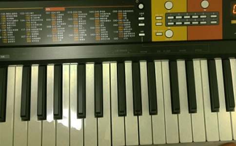 寒假學(xué)電子琴作文