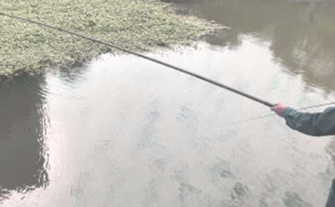 幾篇我和爸爸去釣魚的短作文