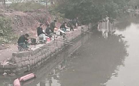 ���x����~�İְ�������ƪ