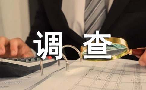 有關(guān)調(diào)查報告作文400字集錦九篇