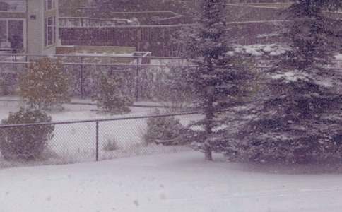 描寫冬日的詞語