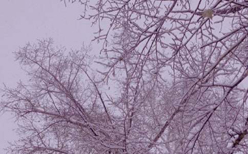 ��������L(f��ng)300������