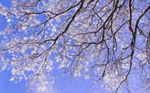 ���ݶ��켾��(ji��)�~�Z(y��)