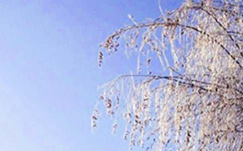 冬天的風(fēng)作文【薦】