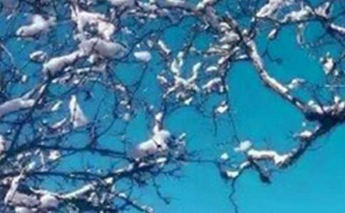 �����á�������L����27ƪ