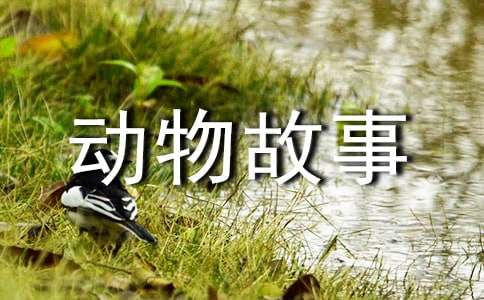 ��ƪͯԒ��Ц�������