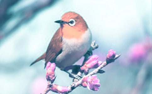 �^���(d��ng)ֲ���С����