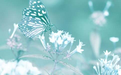 �^���ֲ�����ģ����x20ƪ��