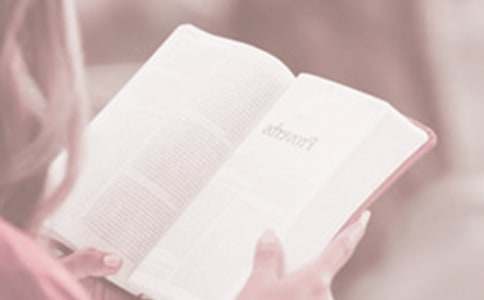 世界讀書日作文(通用29篇)