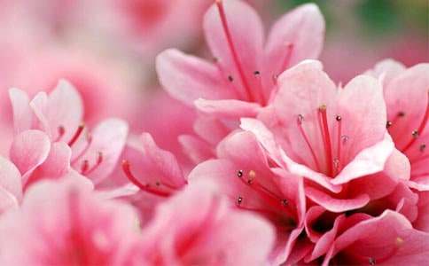 ���N�����S�P