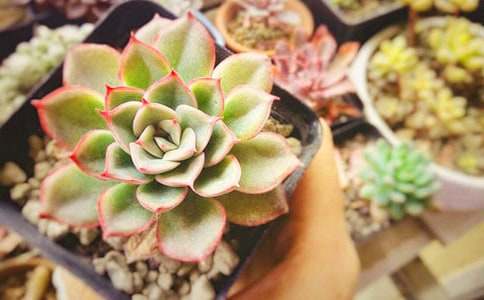 ���������������