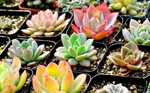 �ҺͶ����һ����