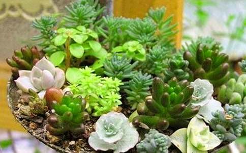 ����(y��u)�㣩�茑���������