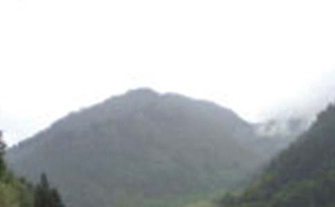 游峨眉山的作文(通用10篇)