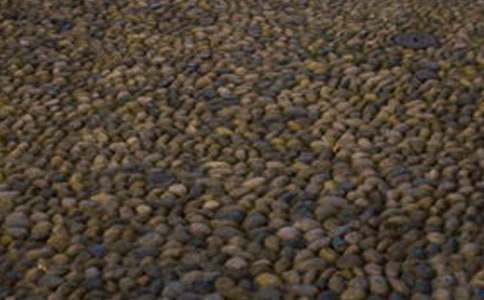 �ഺ�������Z��ʯ����