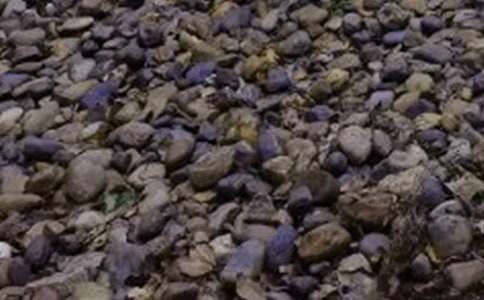 小巖石和鵝卵石的寓言故事