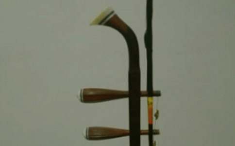 �����ƓP��������