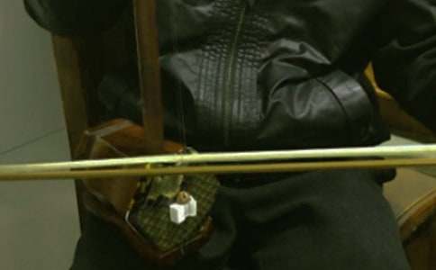 我的二胡之旅300字優(yōu)秀作文