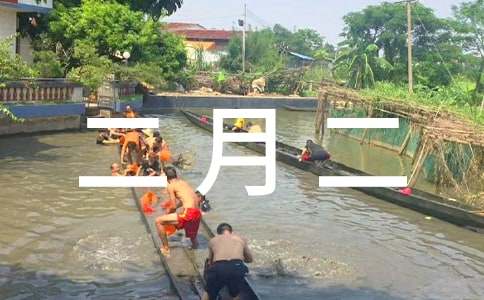 “二月二”寧溪看燈會的500字作文