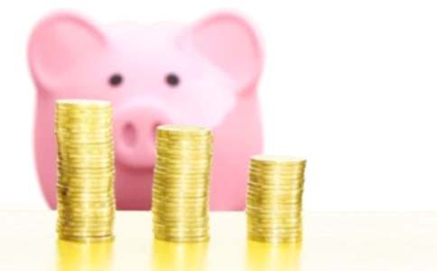 我養(yǎng)的發(fā)財(cái)魚作文