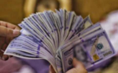 觀察發(fā)財樹作文