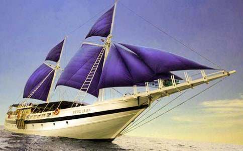 合作做帆船的作文