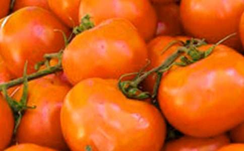 ��ժС����С�W������600��