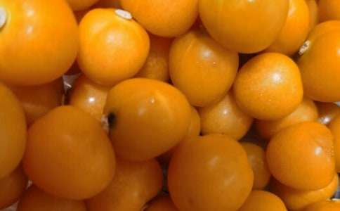 番茄為什么會(huì)變紅作文