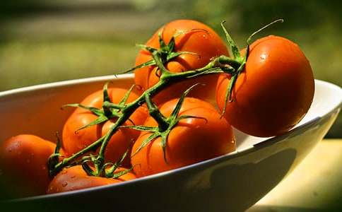 “番茄太陽”作文