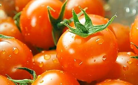 第一次做番茄炒蛋作文(精選6篇)