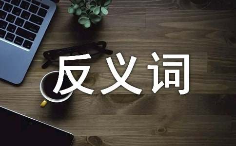 詞語增添的反義詞是什么