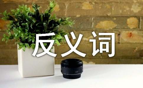 詞語災(zāi)害的反義詞是什么