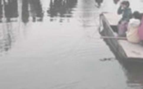 書海泛舟作文500字(精選23篇)