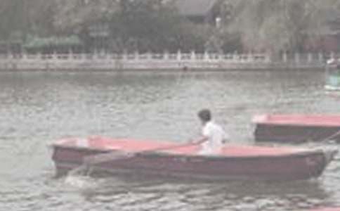 ��������800������