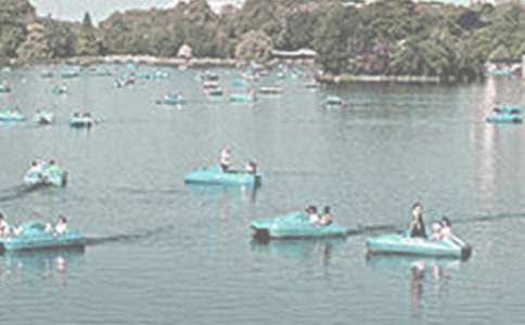 君山月夜泛舟記的閱讀答案