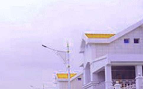 【合集】未來的房子作文