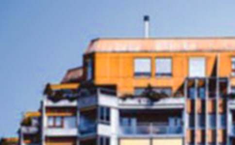 С����ͯԒ����