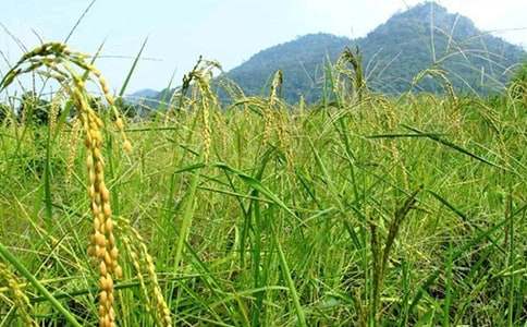 ���^�����r���Ĵ��졷�x������ģ����x10ƪ��