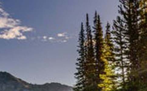 �����]����߅�L(f��ng)������4ƪ